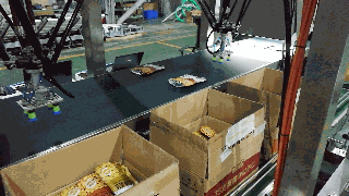 1543393817474150.gif 4.蚕豆现场出产视频_clip.gif