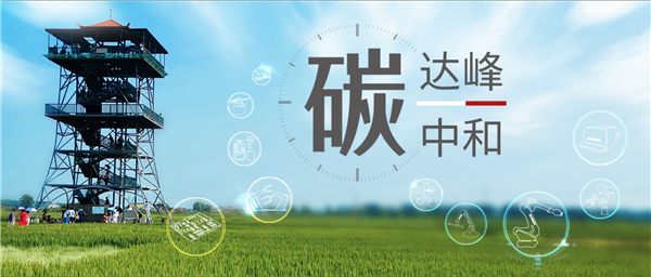 【大战术 细落实】sunbet官网为助力实现&ldquo;双碳&rdquo;指标做了哪些事？（上篇）